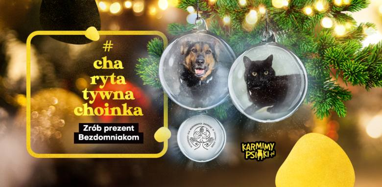 Do 27 grudnia każdy z nas może wysłać gwiazdkowy prezent bezdomnemu zwierzakowi. Wszystko odbywa się online na stronie internetowej www.karmimypsiaki.pl/charytatywnachoinka