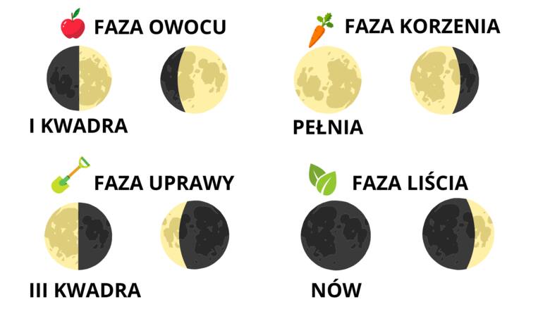 Kalendarz księżycowy wiąże kwadry Księżyca z rozwojem roślin, wskazuje też optymalne terminy różnych prac ogrodniczych.