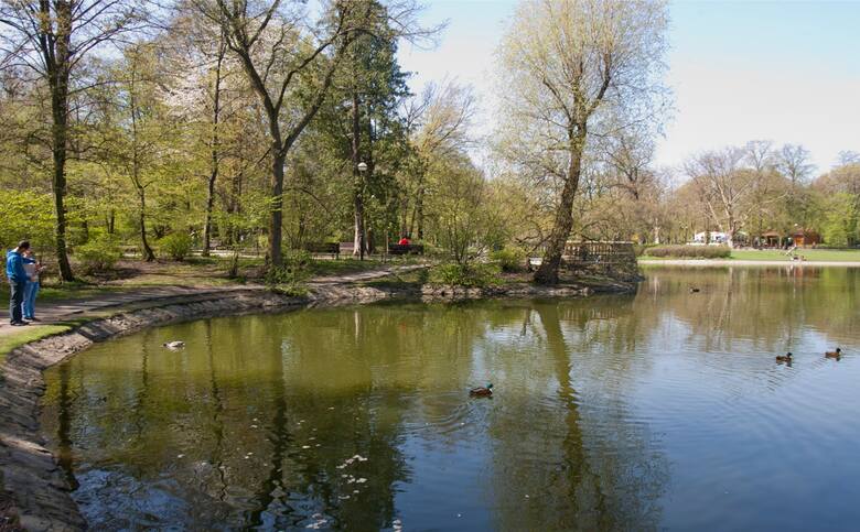 Położony w dzielnicy Borek park posiada spory staw oraz ciekawy drzewostan, który został wybierany przez niemieckiego botanika w 1877 roku, kiedy powstawały