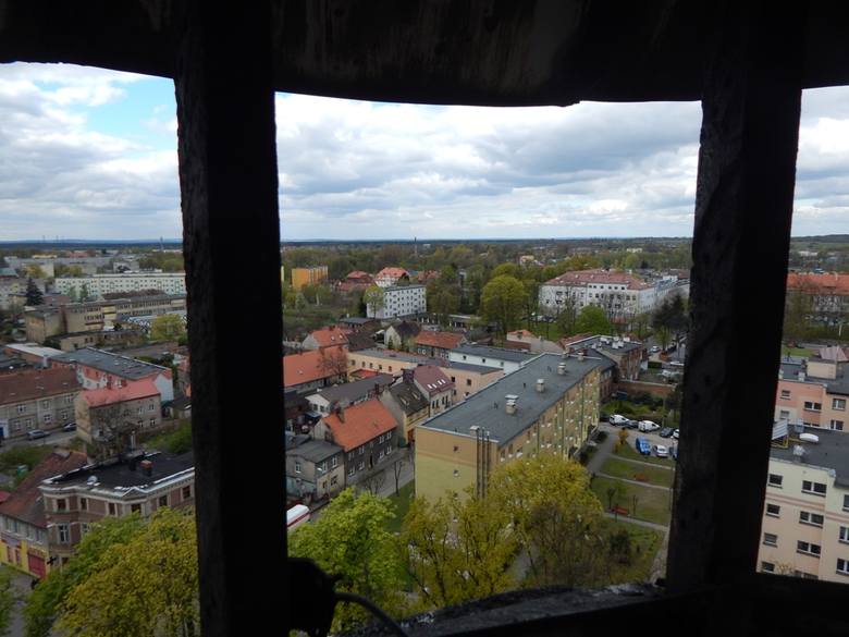Widok z wieży ciśnień w Sulechowie.