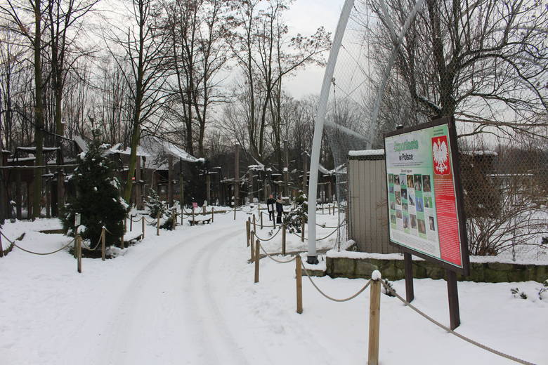 Zapraszamy na wirtualny spacer po zoo w Chorzowie