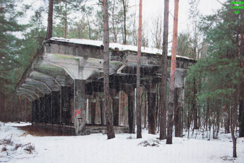 Tajemnica bunkrowego lasu. Fabryka prochu Forst Scheuno koło Brożka