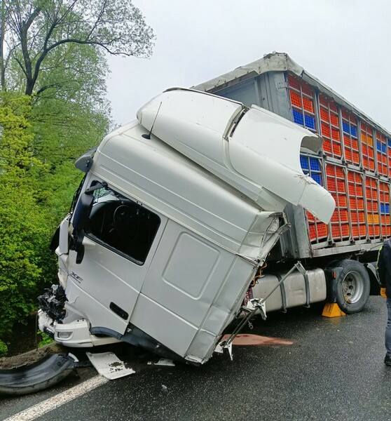 Zderzenie dwóch samochodów ciężarowych na drodze krajowej nr 19 [ZDJĘCIA]