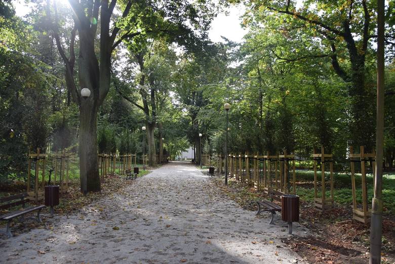 Rewitalizacja parku Kopernika to łącznie koszt ponad 5 mln zł