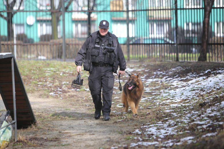 Psy w policji są czasem niezastąpione [WIDEO]