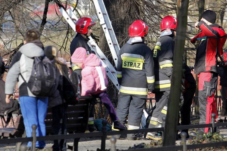 Szaleniec z Katowic chciał wysadzić kamienicę w powietrze. Policja zareagowała natychmiast. W ostatniej chwili udało się zlokalizować kamienicę i odciąć dopływ gazu.