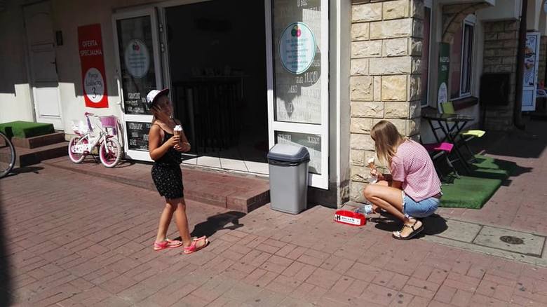 Akcja "Woda dla czworonoga" w Łowiczu. W mieście rozstawiono specjalne miski [Zdjęcia]