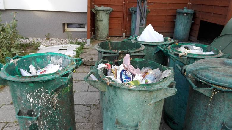 Mieszkańcy Zielonej Góry skarżą się na czystość. Czy toniemy w śmieciach? 
