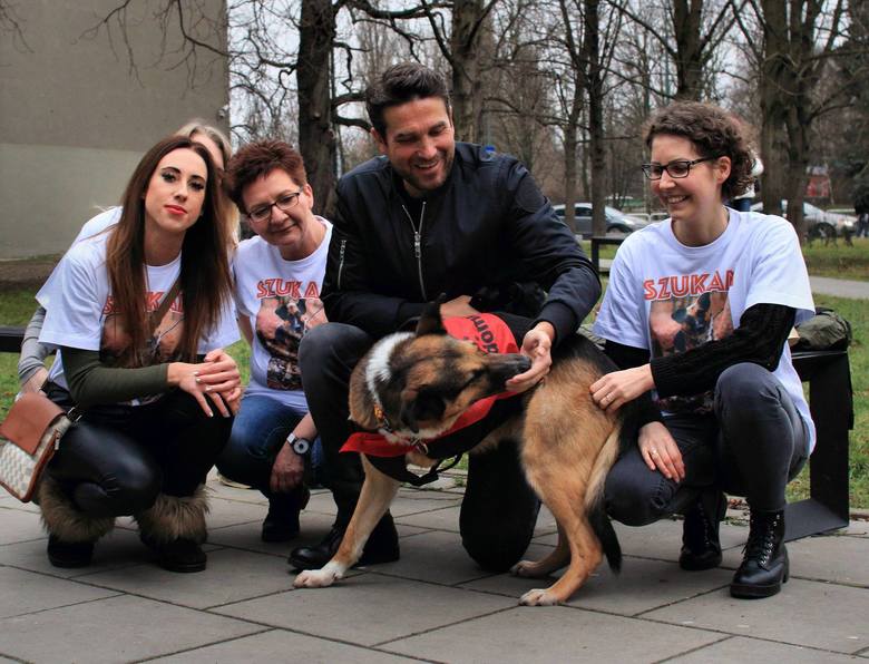 Aktor Marcin Dorociński pomógł znaleźć Klifowi, niepełnosprawnemu psu, nowy dom