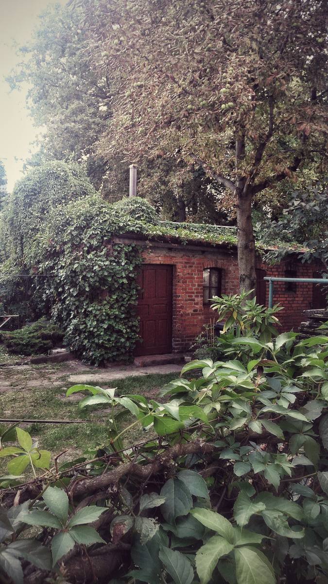 Przydomowe ogródki w Bydgoszczy: urosną klomby albo plomby 