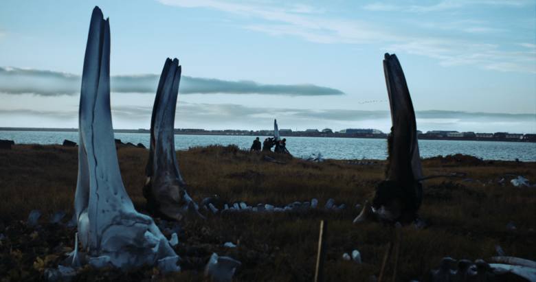 Film dokumentalny „Wieloryb z Lorino” bydgoskiego reżysera Macieja Cuske zdobył Nagrodę Smakjam za Najlepszą Produkcję w Konkursie Polskim na 17. Millennium