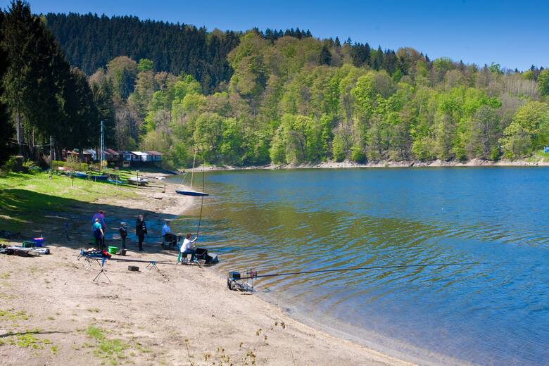 Malownicze jezioro położone jest w powiecie wałbrzyskim, to atrakcja turystyczna Gór Sowich. Idealne miejsce na odpoczynek, wędkowanie i aktywność na