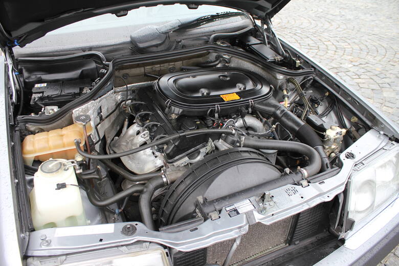 W trakcie produkcji W124 był oferowany w wielu wersjach silnikowych. Najpopularniejsze z nich to benzynowe silniki 200 E i 280E oraz diesle 250D i 300D,