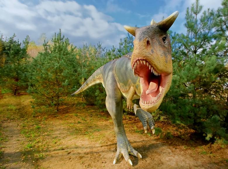 Park Dinozaurów (Nowiny Wielkie, ul. Kolejowa 1b) to idealna wyprawa w czasy prehistoryczne dla wycieczek szkolnych i rodzinnych.