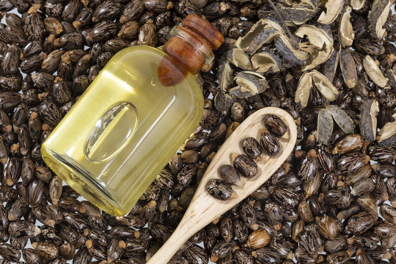 Nasiona rącznika na stole i drewnianej łyżce i olej z rącznika w butelce