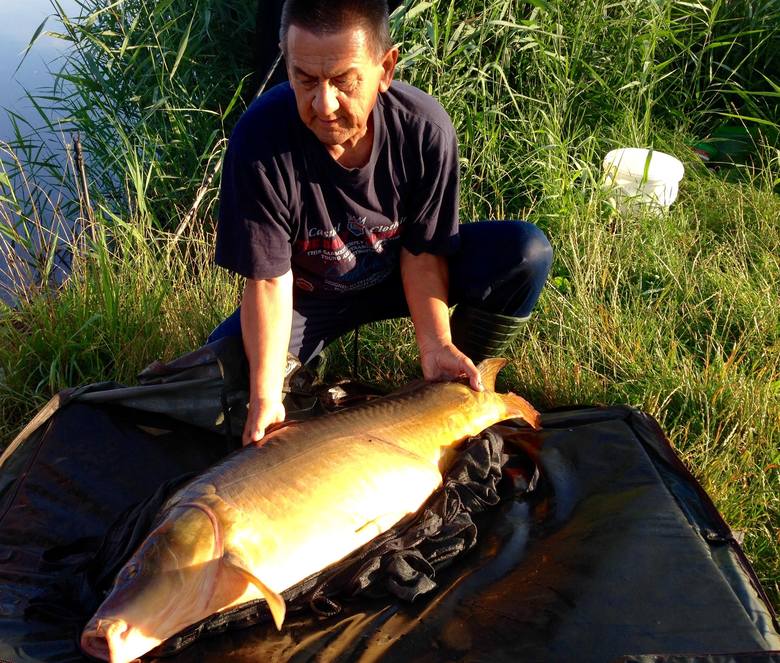 Jerzy Zieliński z Włoszczowy złowił pięknego karpia na Klekocie o wadze ponad 19 kilogramów. To prawdopodobnie nowy rekord tego łowiska.