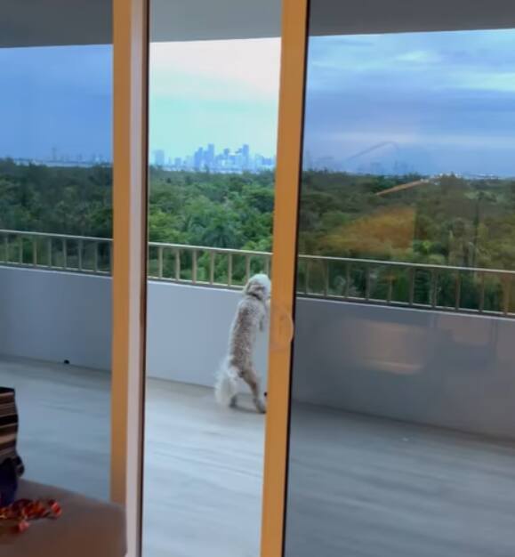 Piotr i Agata Rubikowie chwalą się mieszkaniem w Miami. Widok z okna zapiera dech