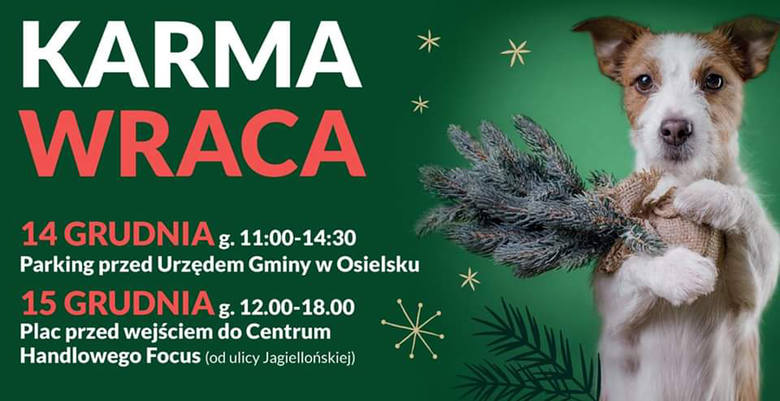Nasza akcja: Karma wraca. Odbierz świąteczne drzewko w zamian za wsparcie bydgoskiego schroniska 
