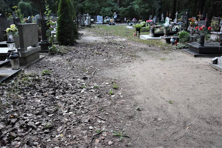 Stary cmentarz przy ul. Wrocławskiej w Zielonej Górze. Mieszkaniec prosi o interwencję w sprawie utwardzenia ścieżki w kwaterze numer 35. 