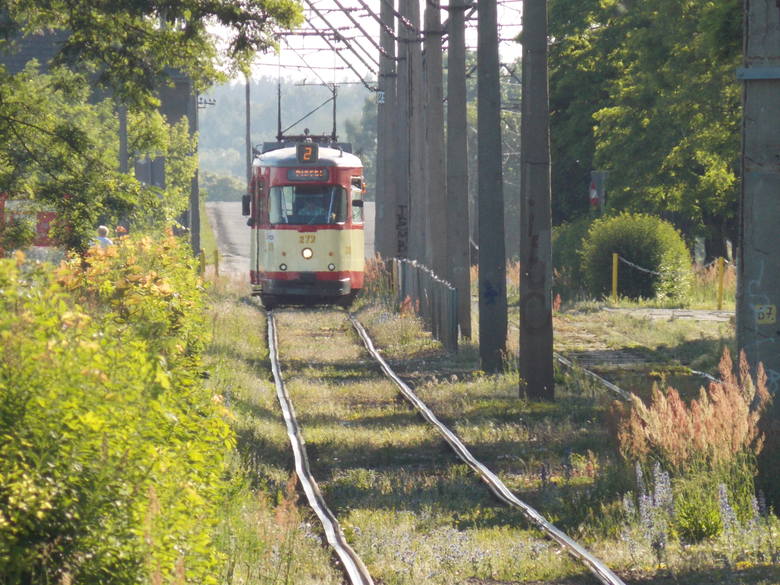 5. Długość linii autobusowych w Gorzowie wynosi 431,65 km. W przypadku komunikacji tramwajowej długość linii wynosi 25 km. Spółka MZK posiada w sumie 89 autobusów oraz 19 tramwajów (jeden pojazd to tramwaj historyczny, który jest wykorzystywany okazjonalnie).<br /> 
