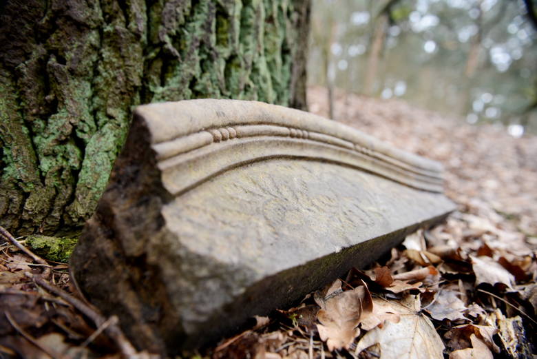 Kargowa: Groby pośród drzew