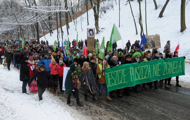 Marsz Entów w obronie Puszczy Białowieskiej.