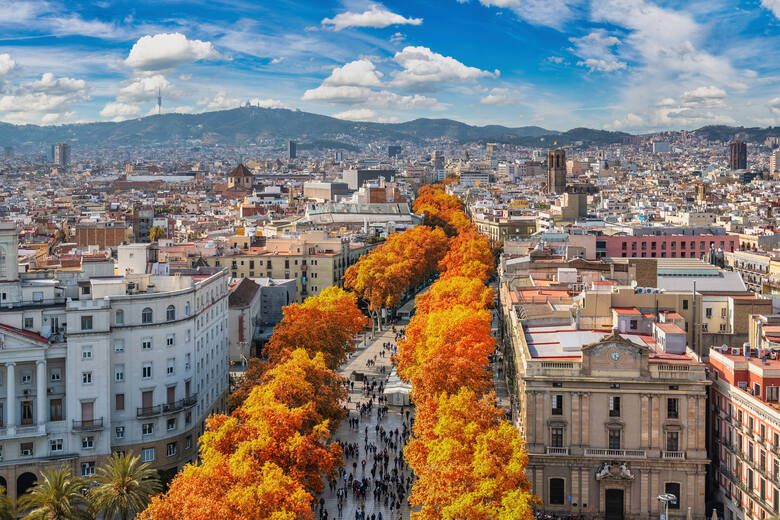 Podczas zwiedzania Barcelony warto zwrócić uwagę na roślinność, która jesienią mieni się wieloma barwami