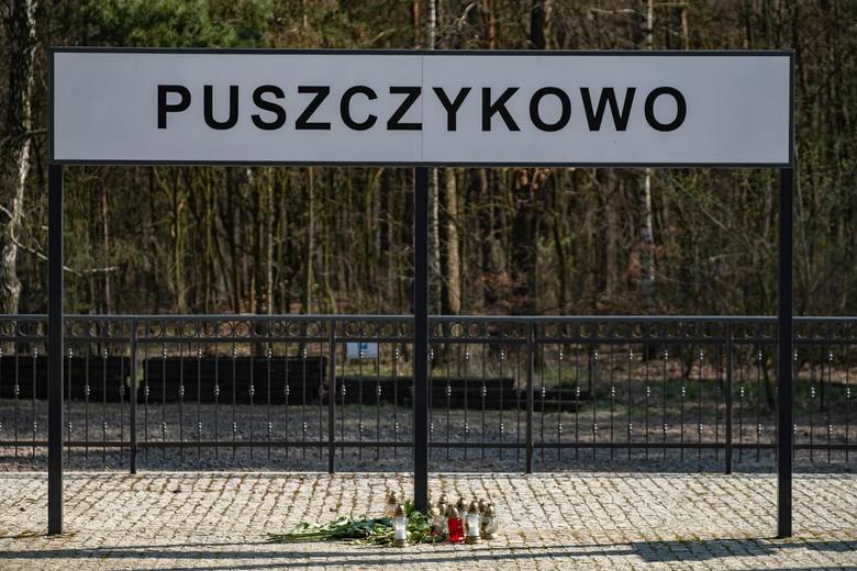 Poznańska prokuratura powołała biegłego z dziedziny rekonstrukcji wypadków, który będzie miał za zadania zbadać dokładne okoliczności tragicznego wypadku w Puszczykowie. Wiele wskazuje na to, że po wydaniu opinii prokuratura skieruje do sądu wobec kierowcy karetki akt oskarżenia.