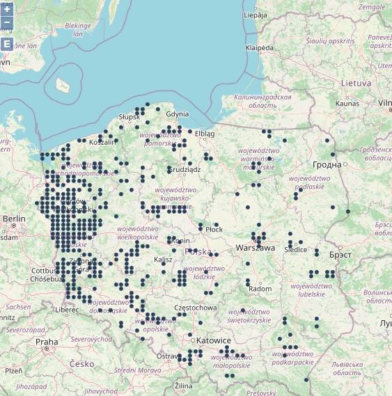 Mapa pokazuje, gdzie odnotowano największe stanowiska szopów praczy w Polsce. Najliczniej występują województwach: wielkopolskim, lubuskim, dolnośląskim