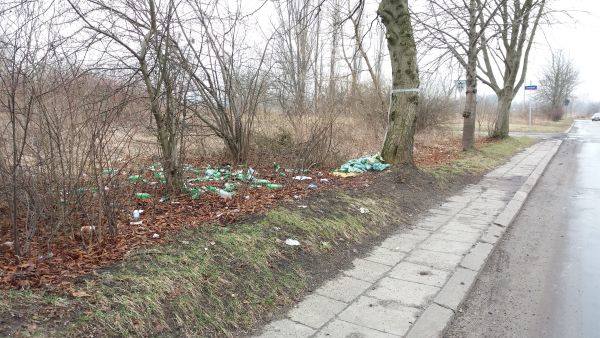 Piasek na poboczu i śmieci na trawniku - taki widok ma zniknąć z miasta.