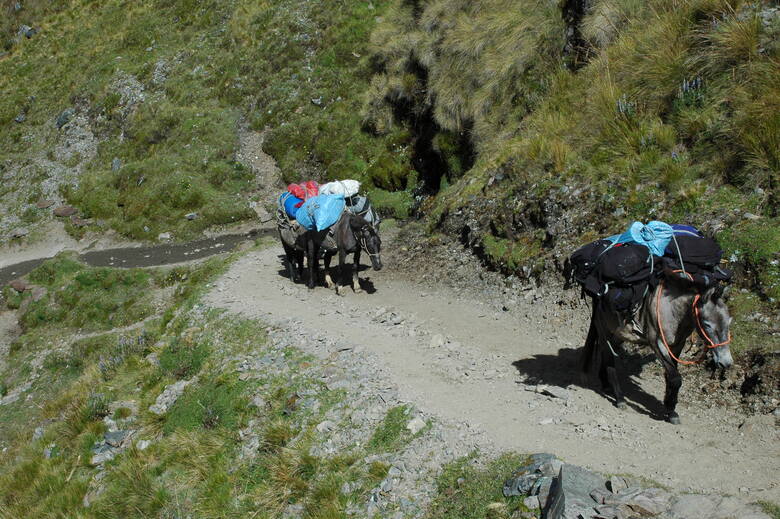 Droga przez Salkantay Pass do Machu Picchu