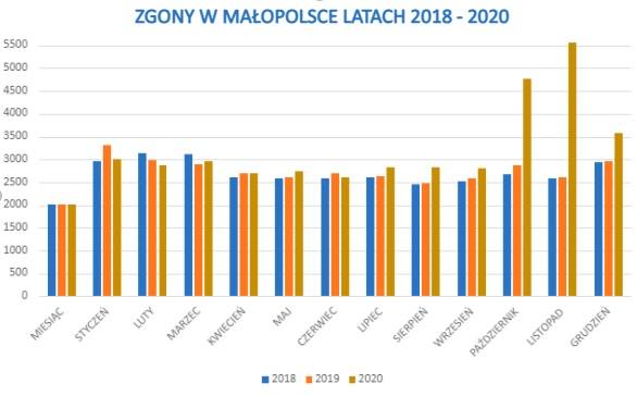 W Małopolsce w 2020 roku liczba zgonów wzrosła o blisko 20 procent. To tak, jakby z mapy województwa zniknęły Sułkowice
