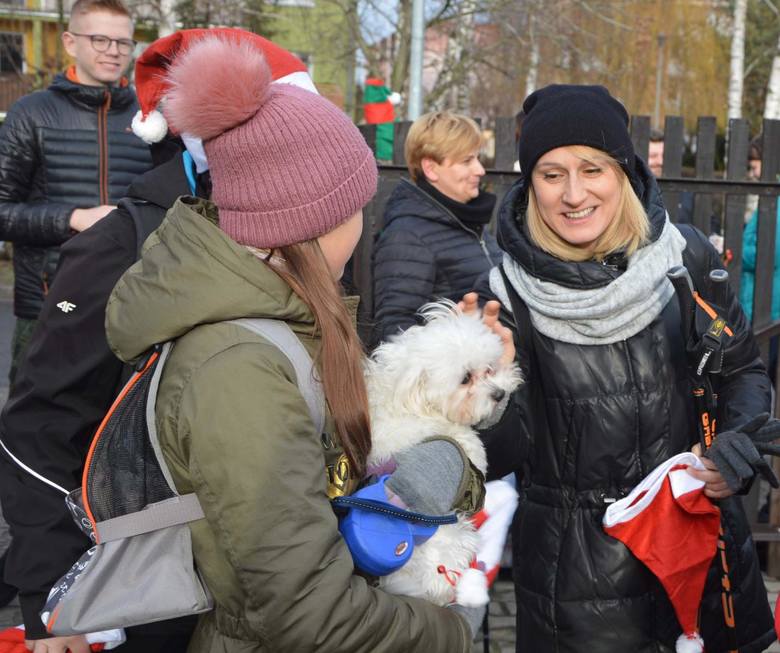 Prawie 50 osób wzięło udział w "Mikołajkowym szuraniu" w Łowiczu [ZDJĘCIA]