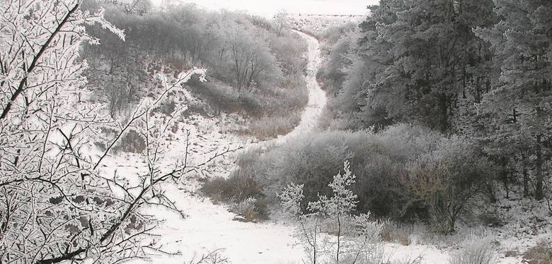 Zimowy pejzaż doliny Wisły z lewobrzeżnego wzgórza, na którym znajduje się grodzisko Talerzyk.