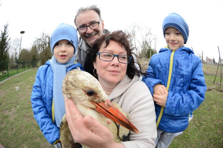 Uratowany ptak powrócił do rodziny Jałtuszewskich