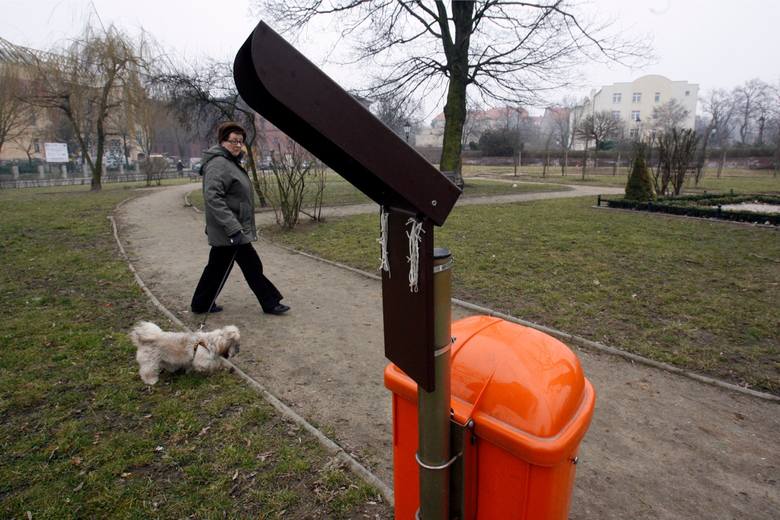 Psie kupy są problemem we wszystkich polskich miastach, nie tylko w Łodzi 