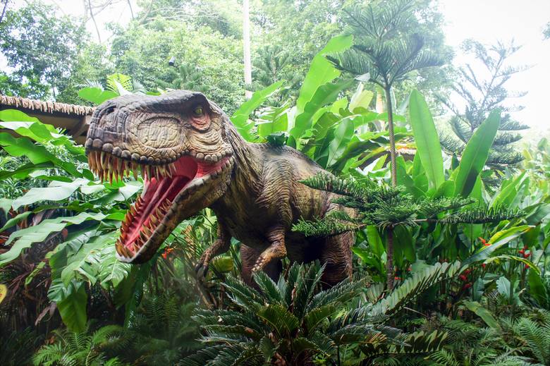 W Parku Dinozaurów jest ponad 50 modeli (podświetlanych po zmroku). Bilety: dorośli – 14 zł, dzieci do 13 lat i seniorzy 65+ – 11 zł.