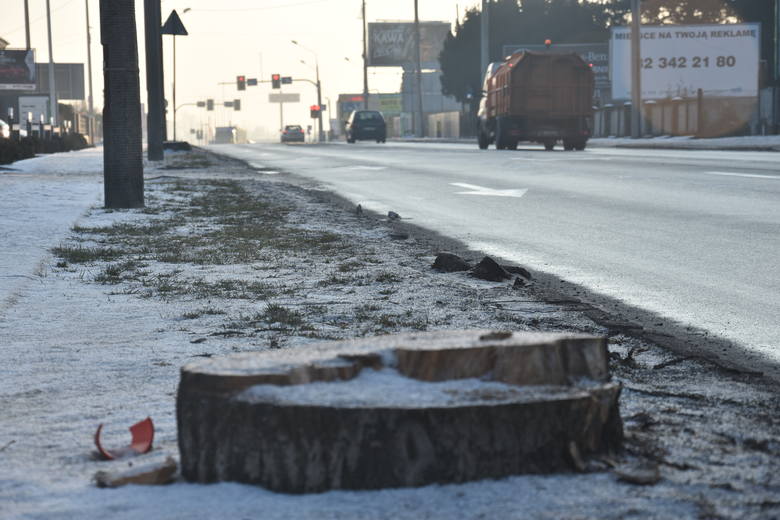 Przy ulicy Żorskiej w Rybniku ścięto 16 drzew. Powstanie tu droga rowerowa