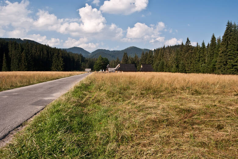 Pierwsza część trasy przez Dolinę Chochołowską to asfaltowa droga. Ten odcinek można przebyć kolejką "Rakoń".