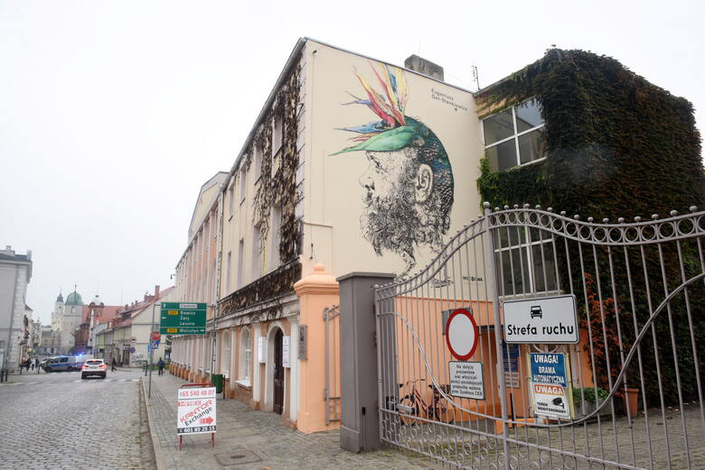 Zobacz zdjęcia wschowskich murali. To zaproszenie do poznania historii  miasta