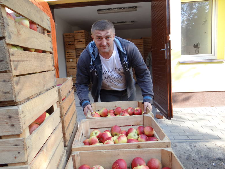Sto ton jabłek przywiózł Krzysztof Borowski, sadownik z Chojnaty koło Kowies, do skierniewickiego Stowarzyszenia Rodzin Abstynenckich Ametyst przy ul. Kozietulskiego