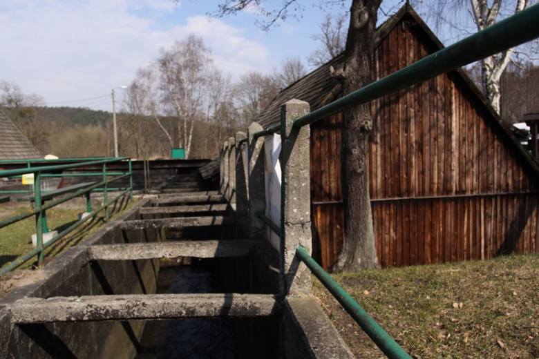 Kuźnia wodna nad Potokiem Oliwskim - zabytek z duszą, jak mówią nie tylko miłośnicy historii  