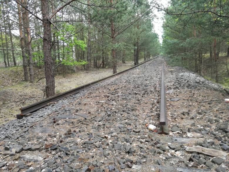 Elementy starych linii kolejowych w okolicy Pleśna zaczęły znikać. To sprawka złodziei?