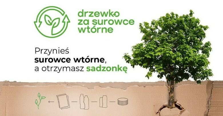 Mieszkańcy Krakowa oddawali odpady i odbierali drzewka i kwiaty. Sadzonki rozeszły się błyskawicznie!