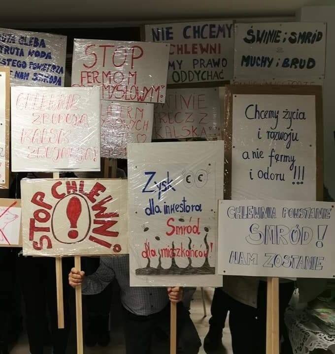 Mieszkańcy Kalska i okolicznych miejscowości protestują w sprawie budowy świniarni