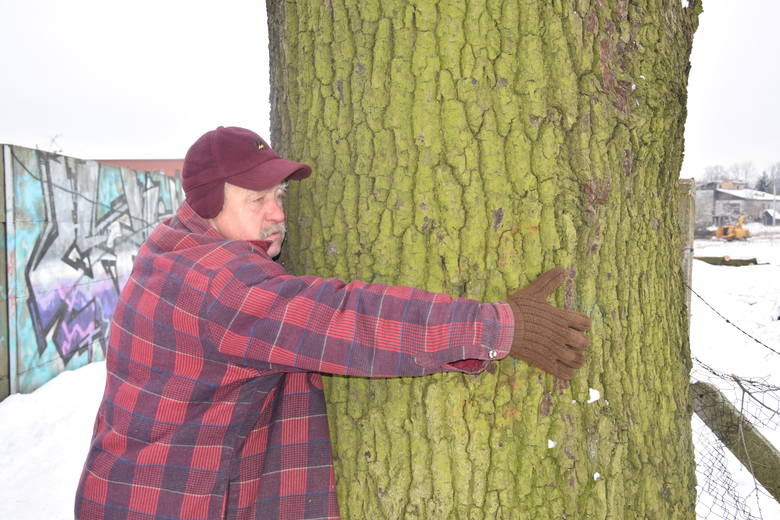 Andrzej Maciejewski jest załamany wycinką drzew w jego mieście