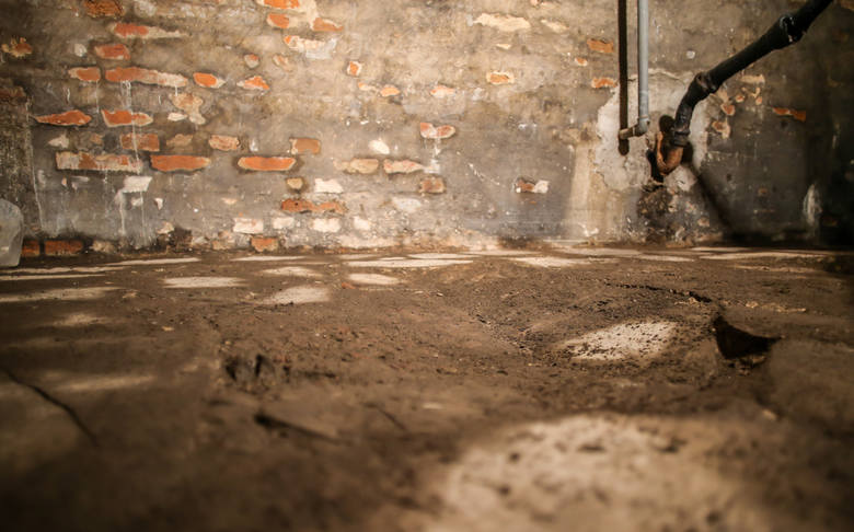 Kilkanaście dni temu podczas prac remontowych i konserwatorskich udało się znaleźć wejście do krypty ukrytej pod średniowiecznym baptysterium w świętej Brygidzie