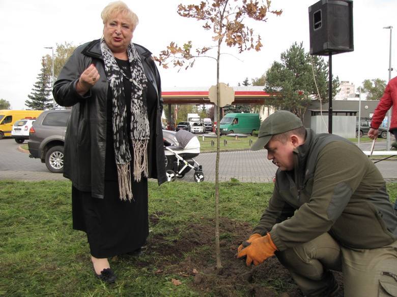 Prezydent Gorzowa Jacek Wójcicki i radna Grażyna Wojciechowska podczas akcji sadzenia drzewek zorganizowanej przez Stal Gorzów  