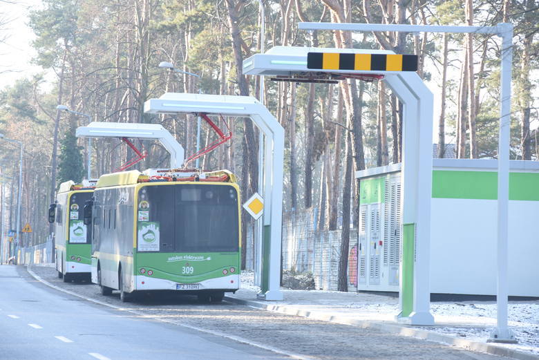 Mieszkańcy osiedla Cegielnia w Zielonej Górze chcieliby, by miejski autobus zajeżdżał także i w ten rejon miasta. 