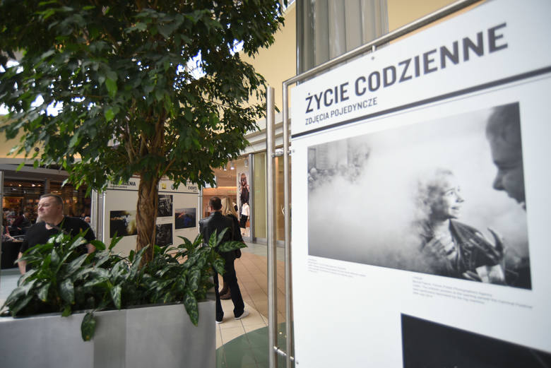 Wystawa zdjęć Grand Press Foto w Katowicach